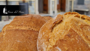 proprietà del pane di grano duro